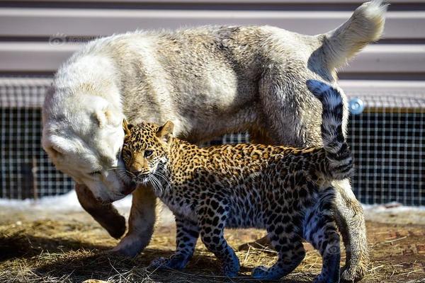 Local police partnered with schools to teach students about internet safety
