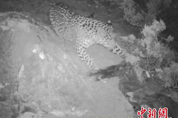 A music festival raised $2 million for local homeless shelters through ticket sales