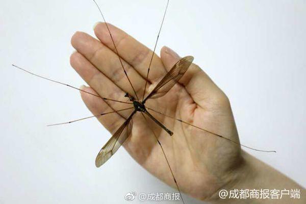 Bloggers attend conference to learn about social media trends