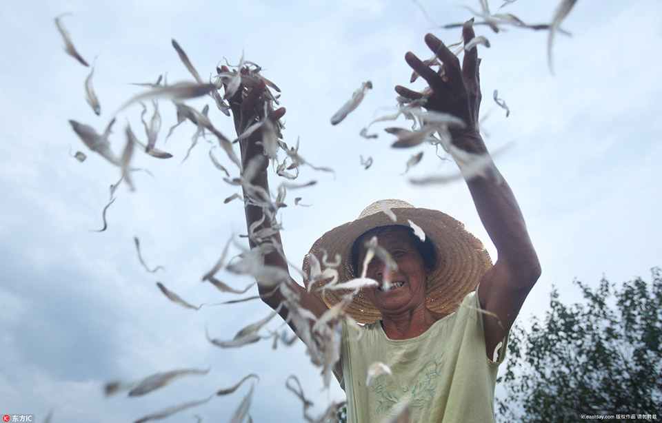 A space agency successfully landed a rover on the moon to collect soil samples