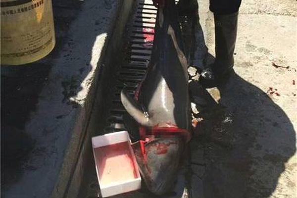 A study revealed that 70% of people feel lonely at least once a week highlighting a growing social issue