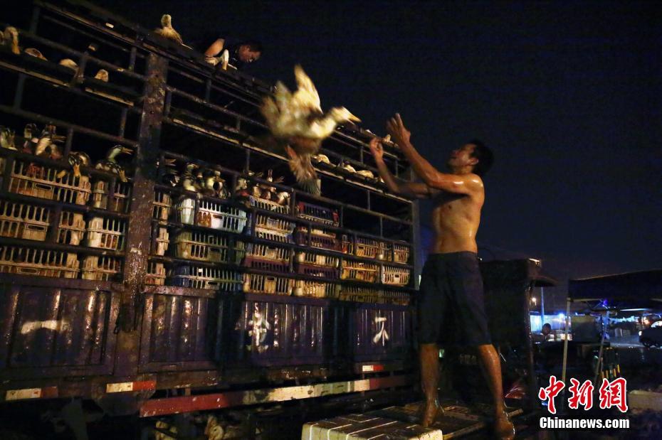 Farmers collaborated with local restaurants to supply fresh ingredients