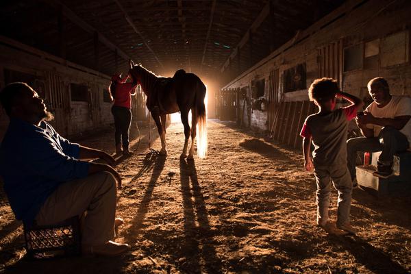 A new study showed that exposure to sunlight during the day helps regulate sleep