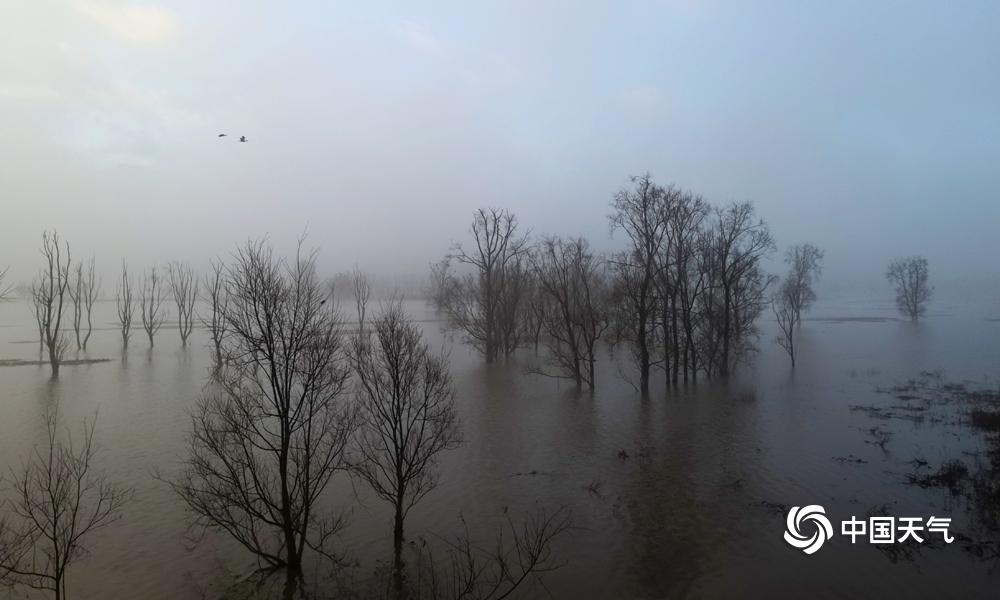 A fashion boutique started selling handmade clothing items created by local designers