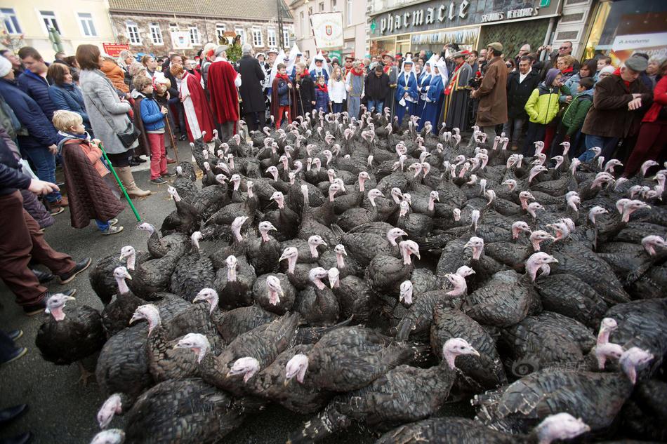 Environmental groups protested against a new industrial project near a protected forest