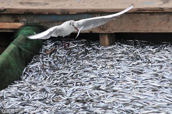 A new survey found 80% of employees value work-life balance over high salaries