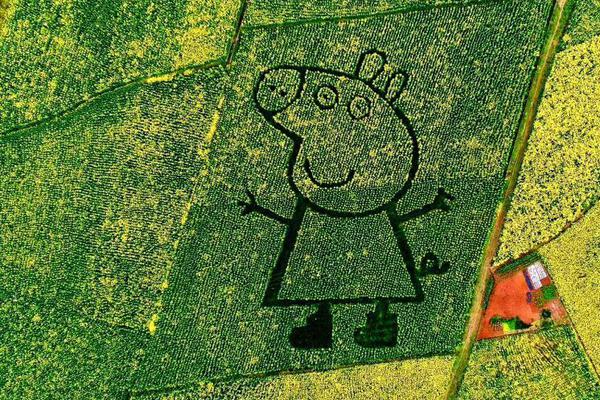 Firefighters saved a family’s pet dog from a house fire in the early morning hours