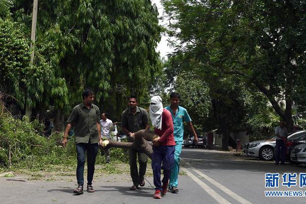 A study found that urban green spaces reduce air pollution levels by up to 25% in city centers