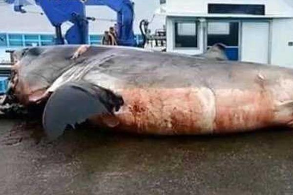 A drought in the west led to a ban on outdoor watering for residential and commercial properties