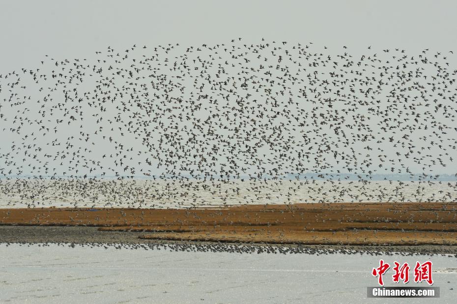 A study found that spending time outdoors every day improves mood and overall mental health