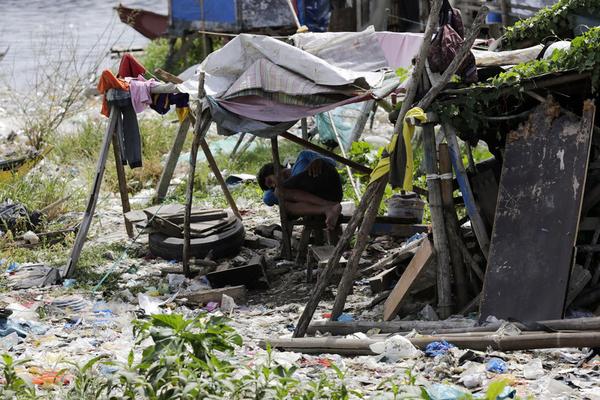 Plant store offers tips for caring for succulents and cacti