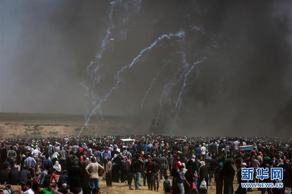 Bakery introduces vegan donuts made with coconut milk and fruit sweeteners
