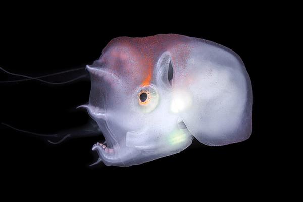 Fitness center adds new weight training equipment and group classes