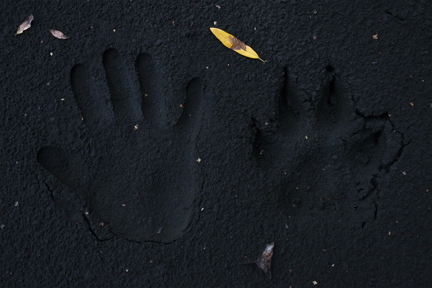 Software firm releases app to help small businesses manage online orders