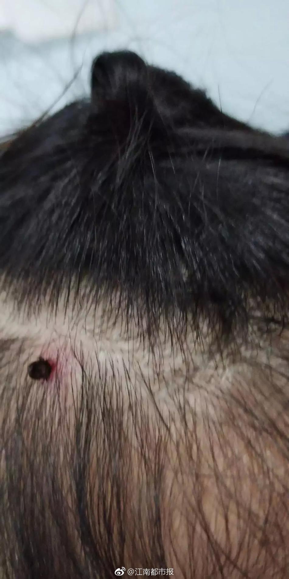 Physicists conduct experiments to study black hole behavior