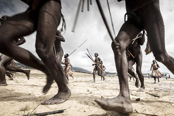 A scientist published a study showing that urban green spaces lower stress levels in city dwellers