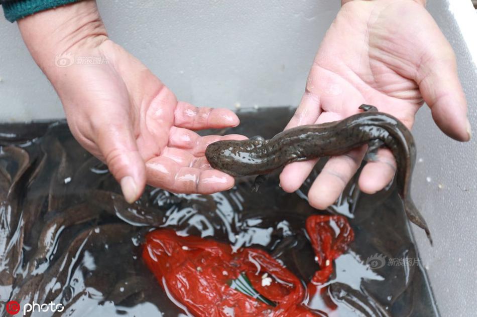 Scientists discovered a way to convert plastic waste into fuel offering a solution to the global plastic pollution crisis