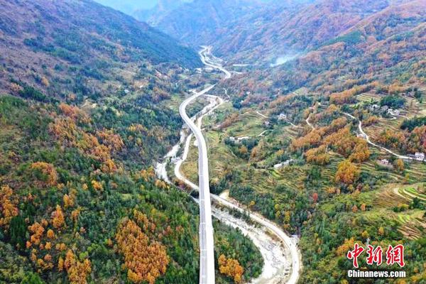 Scientists used stem cell technology to grow functional organ tissues in a laboratory setting