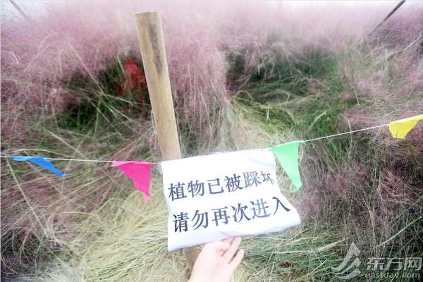 A museum unveiled a new exhibit showcasing rare historical documents that shed light on the country’s founding.