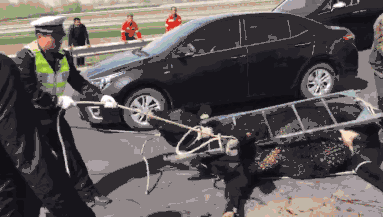 Local authorities announced plans to build a new hospital in a rural area, addressing the shortage of medical facilities.