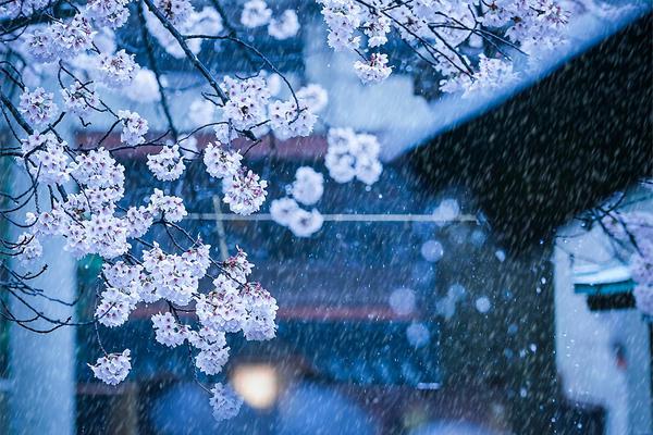 A study revealed that eating a protein-rich breakfast keeps people full longer than a carb-heavy one