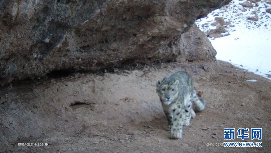 A river in the south overflowed its banks causing damage to 50 farms and several roads