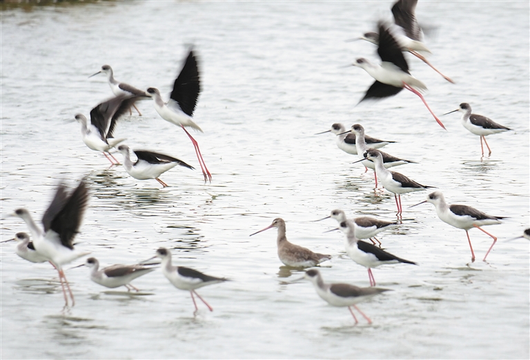 A famous actor announced they will star in a biographical film about a civil rights icon