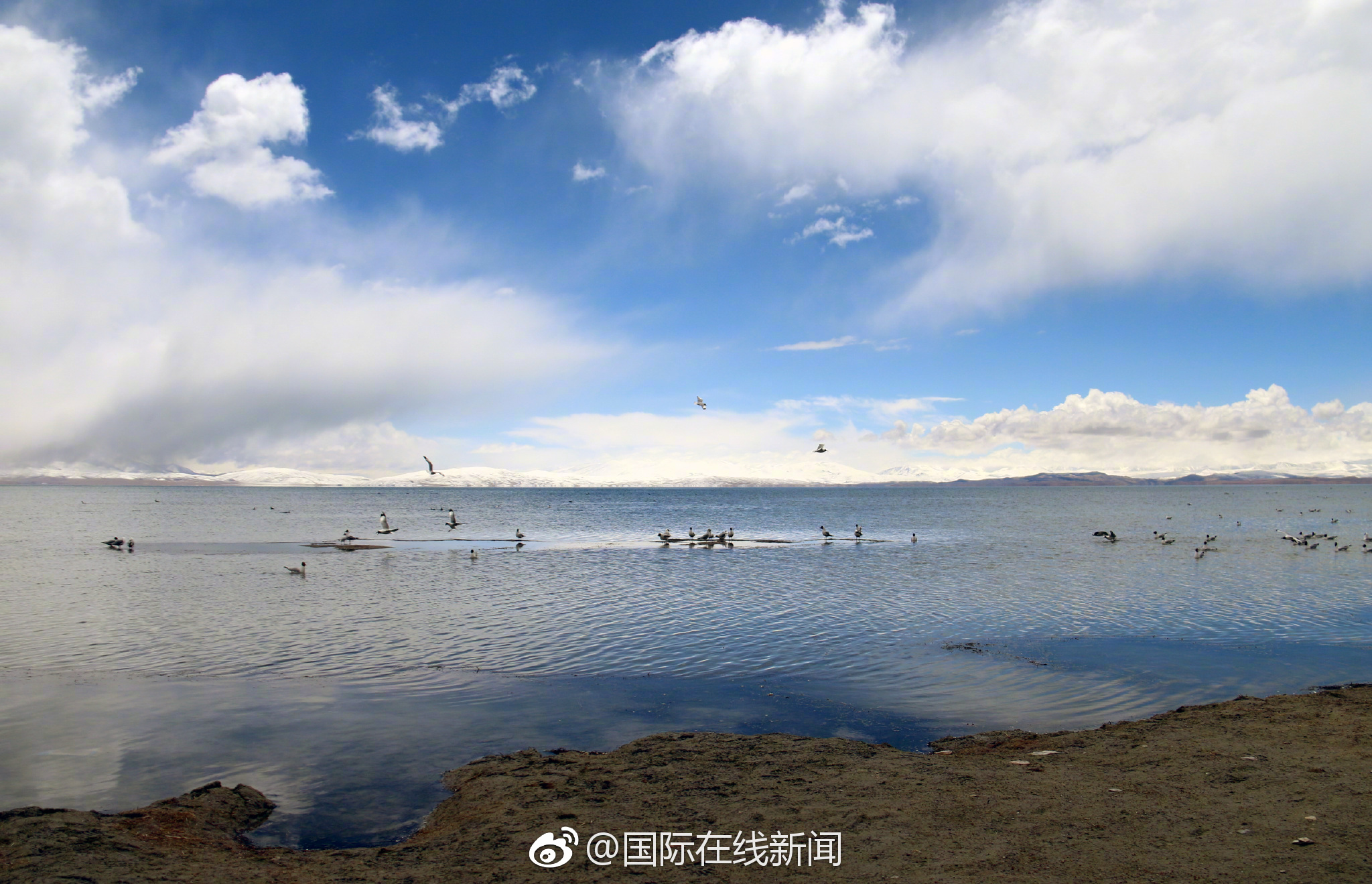 The government passed regulations to limit air pollution from factory emissions