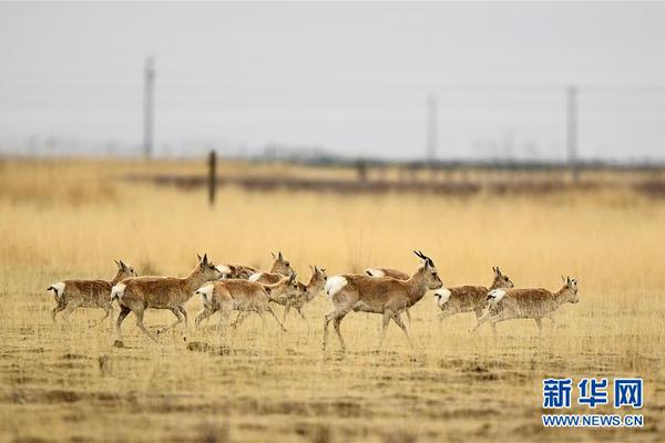 A tech company released a new tablet with a detachable keyboard for work and entertainment