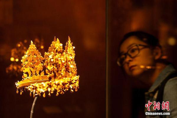 A study revealed that owning a pet can help reduce feelings of social isolation in seniors