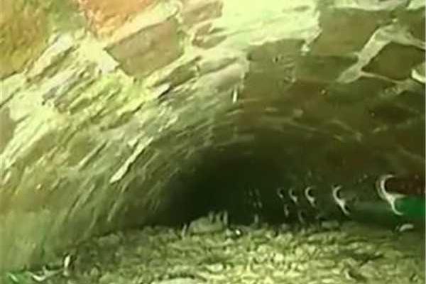 A city implemented a congestion charge to reduce car use and lower air pollution levels