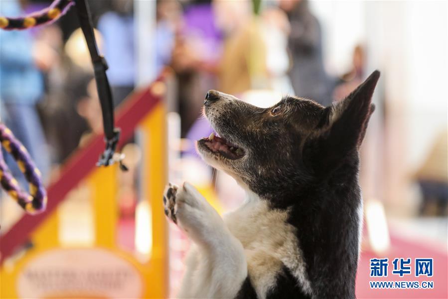 A community garden partnered with a local restaurant to supply fresh produce for its menu