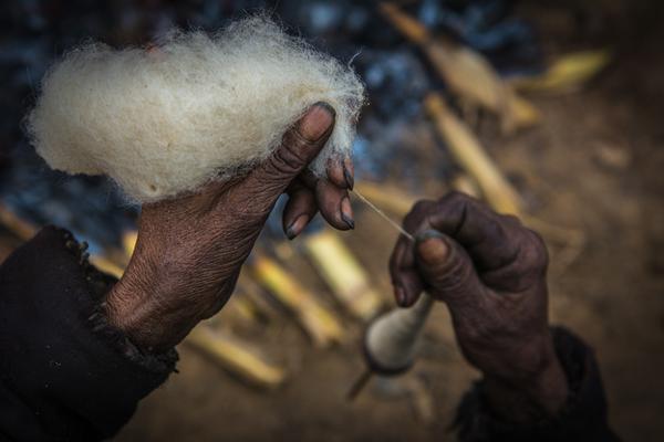 Park rangers offer night hikes to observe nocturnal wildlife