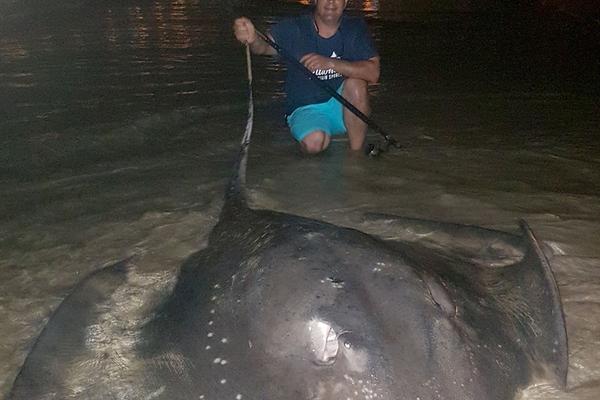 A farm started selling homemade jams and jellies at local markets, using excess fruit to reduce waste