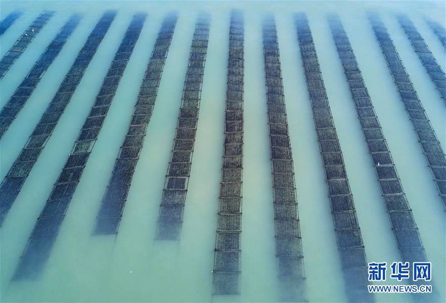 A farm installed a rainwater collection system for its irrigation needs