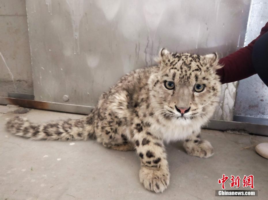 Coast guard rescues several sailors from storm hit boat