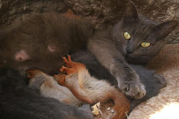 The stock market experienced a small dip after news of a potential trade dispute