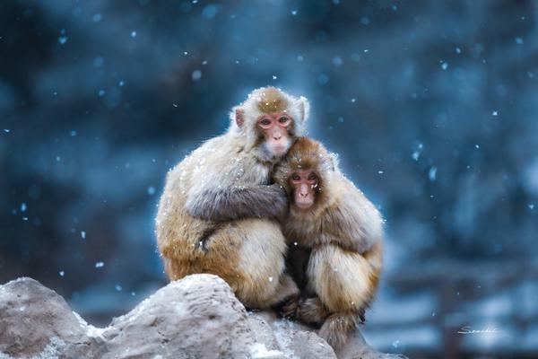 A study showed that teachers who receive regular feedback improve their teaching skills faster