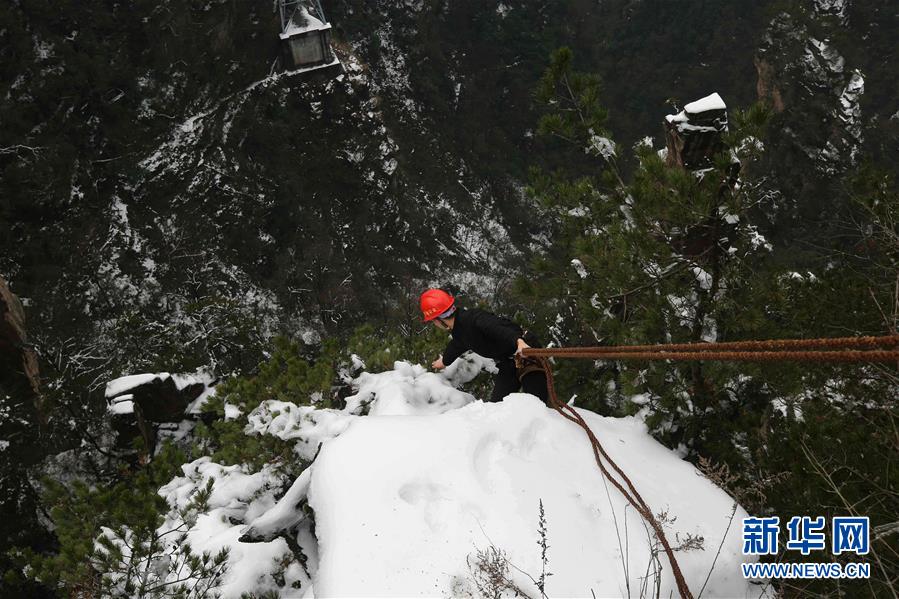 Marine researchers documented a rare sighting of humpback whales in a coastal bay