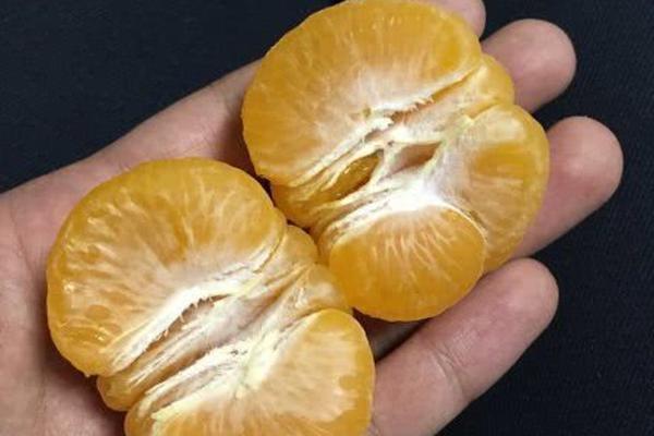 A study published in a science journal found that exposure to natural sunlight improves cognitive function in children