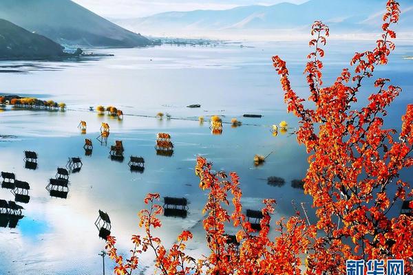 A popular coffee chain introduced a new seasonal drink made with pumpkin spice