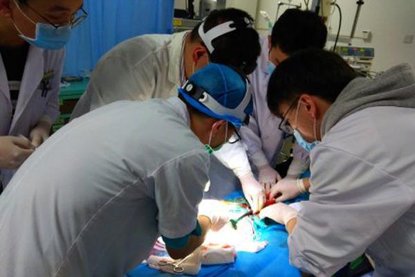 A study found that regular dancing can improve balance and reduce fall risks in seniors