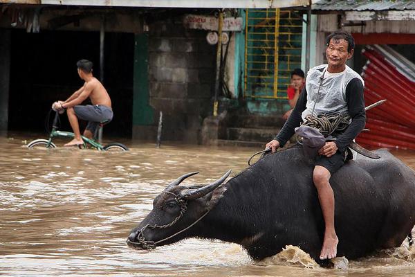 Health officials issued a public alert about a surge in seasonal flu cases urging young children and the elderly to get vaccinated