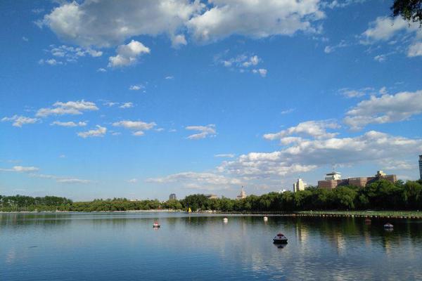 A study found that spending time outdoors every day improves mood and overall mental health