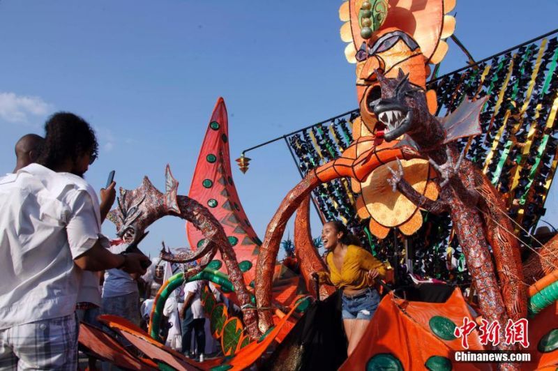Wildlife sanctuary releases rehabilitated birds of prey into protected forest area