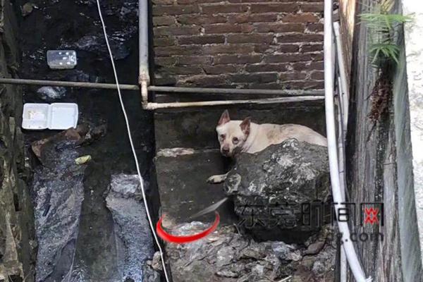 A tech startup secured $3 million in funding to develop its AI-powered education tool