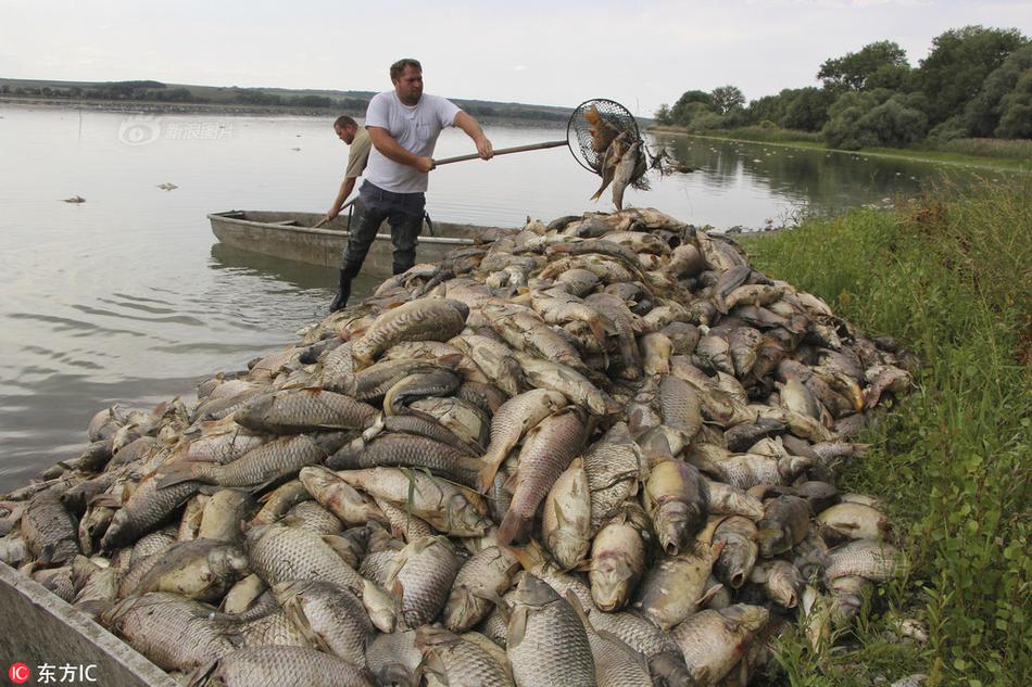 A pharmaceutical company began clinical trials for a new drug to treat Alzheimer’s disease