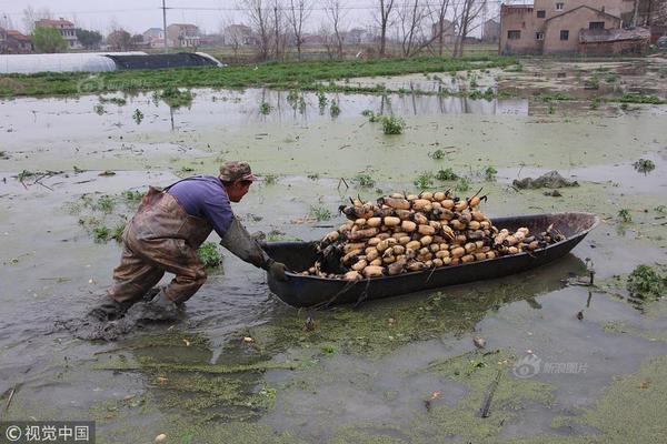A local community organized a festival to celebrate cultural diversity featuring music dance and food from different countries