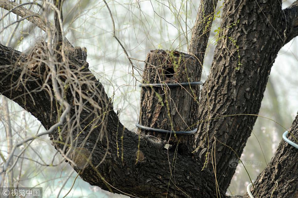 Scientists created a new type of battery that can store 50% more energy than current models