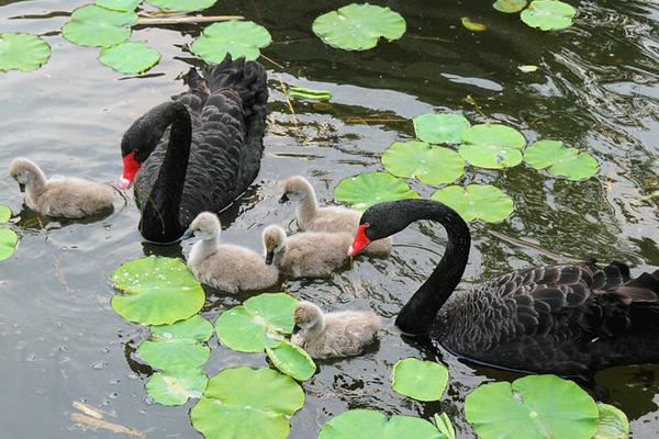 Weather forecasters warned of coastal flooding